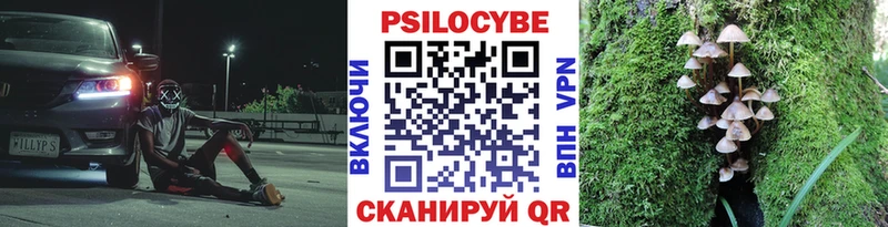 Псилоцибиновые грибы GOLDEN TEACHER  Афипский 